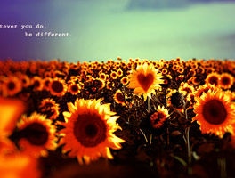 一键安装简单的短信网页在线轰炸